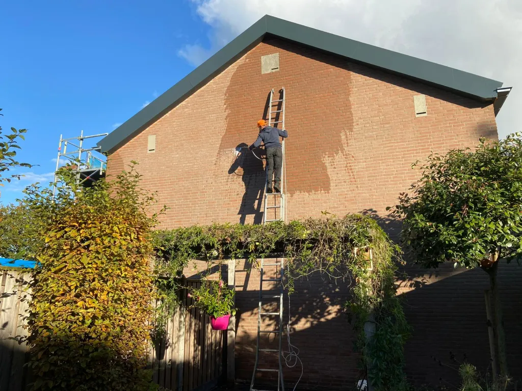GEVEL REINIGEN