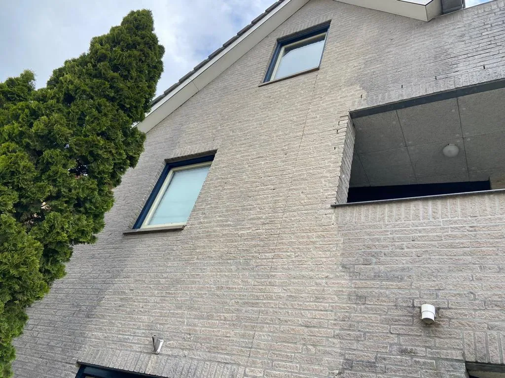 GEVEL REINIGEN